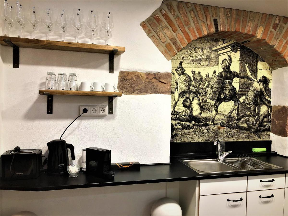 Luxus Apartment Colloseum In Der Stadt Φράιμπουργκ Εξωτερικό φωτογραφία